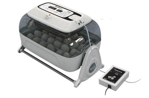  automatic incubator