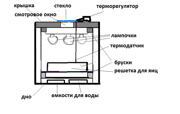  Inkubator-Diagramm