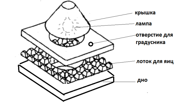  Das Schema des Inkubators aus dem Karton