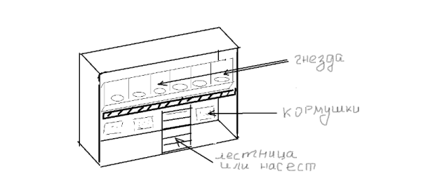  schematische Anordnung von Sitzstangen, Futtern und Nestern im Hühnerstall