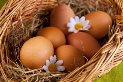  Eier von Hühnern gelegt