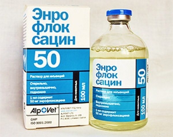  Enrofloxacin
