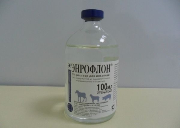  enroflon 100 ml