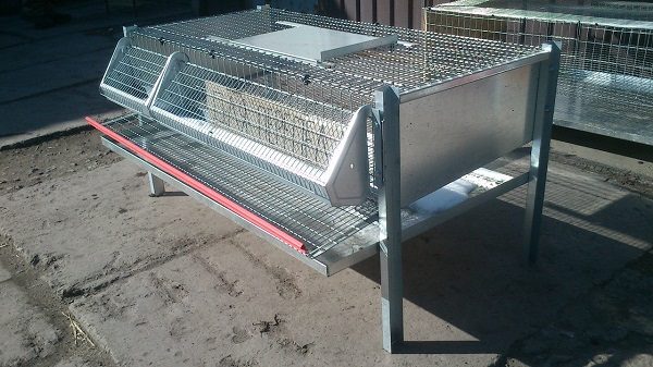  Finished cage for 20-30 quail