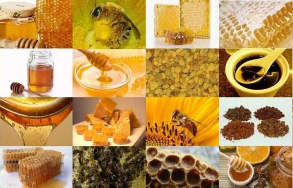  منتجات تربية النحل
