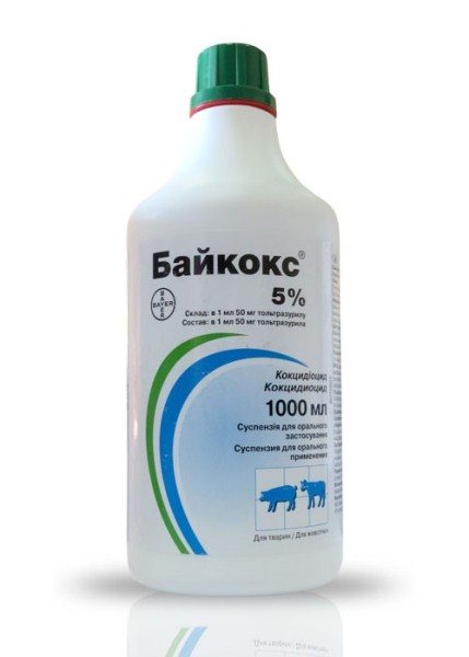  Baykoks von 5% in einer Flasche von 1000 ml