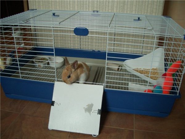  Käfig für dekorative Kaninchen
