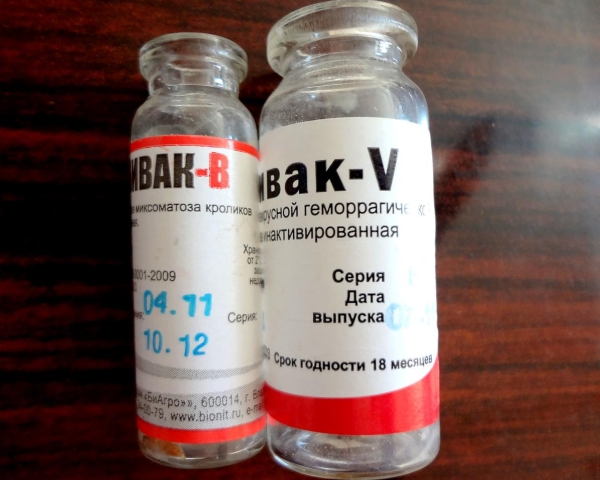  Vaccin pentru iepurii RABBIVAK-V și RABBIVAK-V