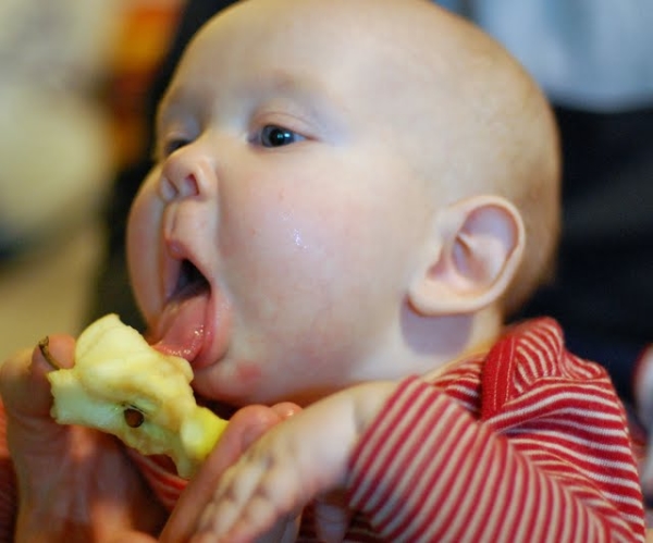  Mulheres grávidas e lactantes, bem como crianças precisam incluir maçãs na dieta