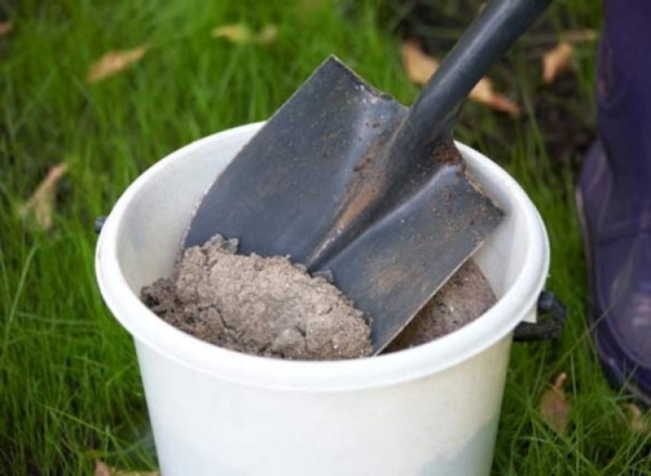  As a fertilizer for raspberries, it is better to use ash when planting.