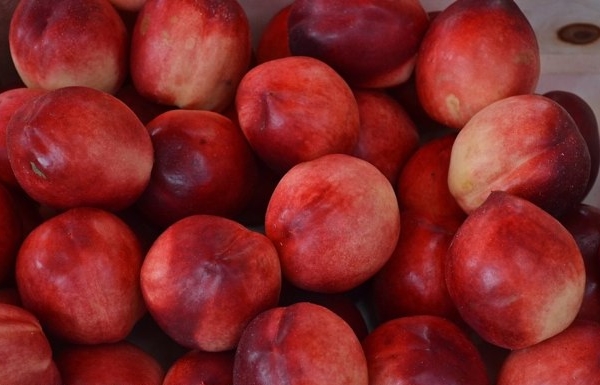  En hybrid av persika och äppel som heter apple nektarin