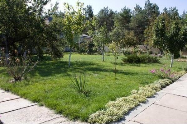  Avant de planter des arbres fruitiers, tout doit être bien planifié.