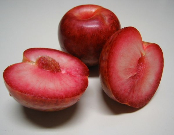  Pluot ist ein Hybrid aus ¼, bestehend aus Aprikose und ¾ Pflaume