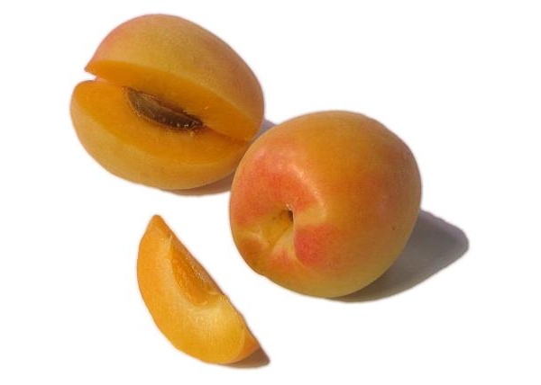  Aprium - hibrid 75% terdiri daripada aprikot dan 25% plum