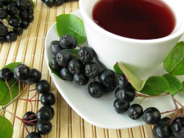 Το τσάι βιταμινών από κόκκινη ή μαύρη τέφρα βουνών θα είναι αποτελεσματικό ενάντια στη γρίπη και ARVI