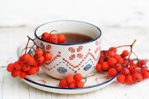  Από το κόκκινο rowan μπορεί να κάνει ένα αφέψημα και τσάι, πουρέ πατάτες και βάμμα, σκόνη και χυμό