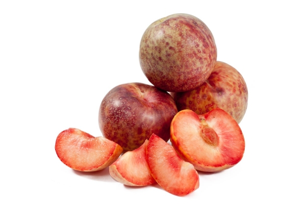  Sharafuga - en hybrid som erhålls genom korsning av persika, plommon och aprikos