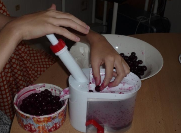  Mechanical devices for cleaning pits from cherries reduce the process time, are inexpensive