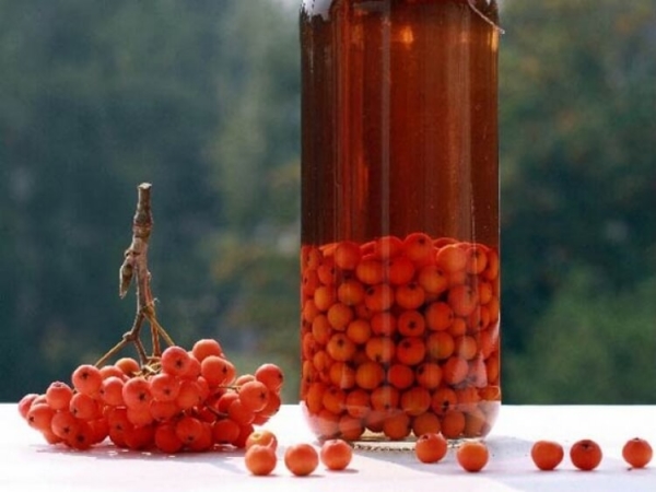  Rowan aide à traiter l'hypertension, le diabète, l'athérosclérose, la gastrite