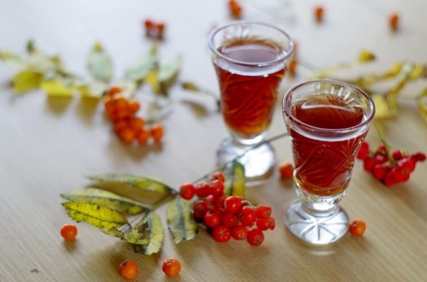  Το βάμμα Rowan δεν είναι μόνο αρωματικό και νόστιμο ποτό, αλλά και πολύ χρήσιμο