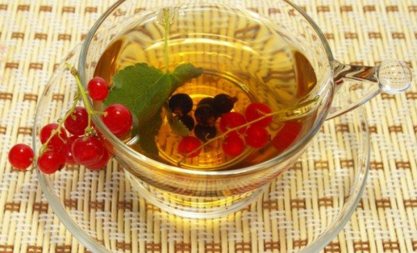  Currant decoction - an effective anti-inflammatory agent