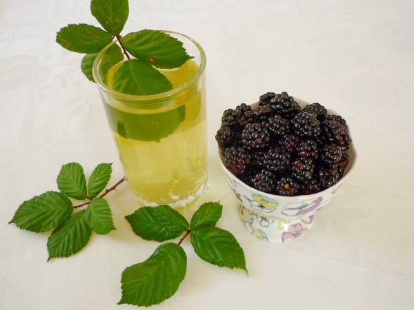  Βατόμουρα φύλλα, ρίζες και φρούτα χρησιμοποιούνται στη θεραπεία πολλών ασθενειών