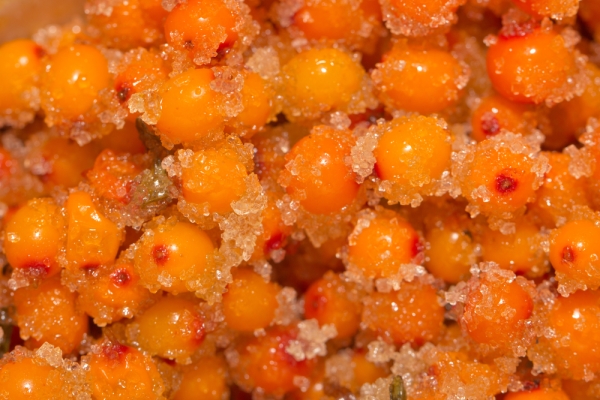  Sea buckthorn in sugar retains its properties for 3-4 months