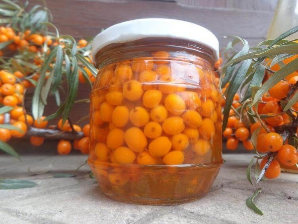  One of the conditions for the storage of sea buckthorn banks is the lack of exposure to light, which leads to the destruction of vitamins.