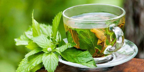  Чаят от листата на касис увеличава хемоглобина