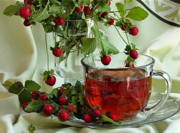  Инфузиите на листата ягоди се използват за авитаминоза, хипертония, анемия и други заболявания.