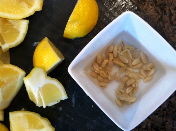  재배 들어, 당신은 레몬의 오른쪽 다양한 선택해야 과일은 익은 있어야합니다, 씨앗이 큽니다