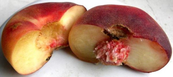  يحتوي Fig peach على عدد كبير من الخصائص المفيدة.