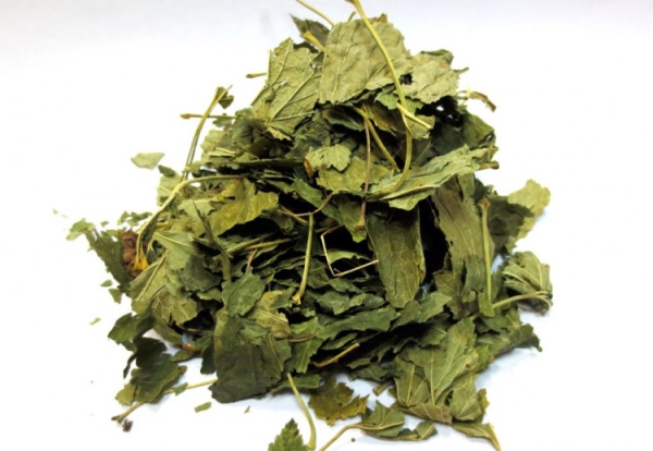  Le foglie di fragola sono utilizzate in cosmetologia come tonici, per lentiggini e punti neri, per la calvizie