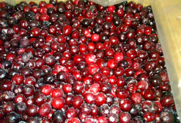  Gefrorene Lagerung Cranberries