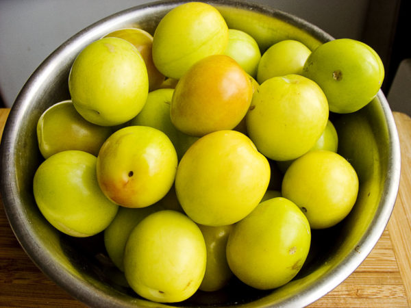  Ripe, colectate fructe de prune de cires