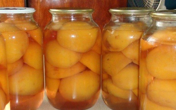  Peaches bz semi nello sciroppo per l'inverno