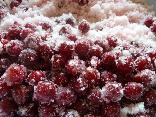  Cranberries werden zur Herstellung von Marmelade und Gelee, Fruchtgetränken und zum Einreiben mit Zucker verwendet.