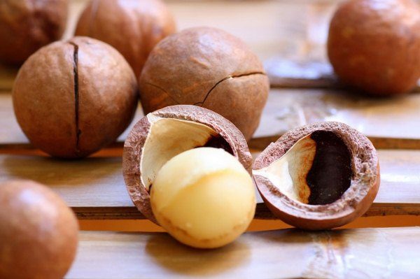  Las nueces de macadamia son muy apreciadas por sus propiedades curativas.