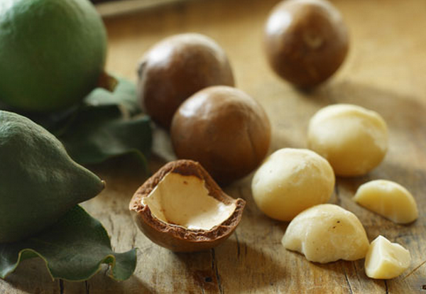  Macadamia frukter används ofta i elit kosmetika.