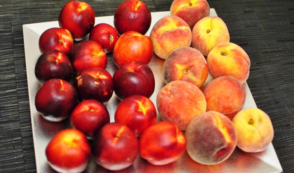  Pfirsichbäume werden je nach Fruchtform in vier Gruppen eingeteilt.