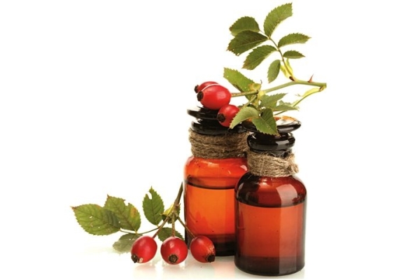  Curative oil is made from rosehip seeds, broths are prepared