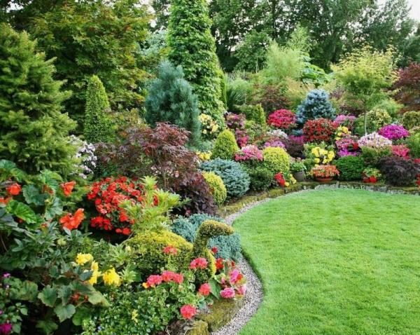  Ornamental shrubs and trees will decorate your summer cottage