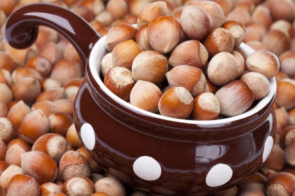  Kandungan kalori hazelnut adalah 628 kcal per 100 gram, kacang adalah produk yang lebih berkhasiat daripada daging