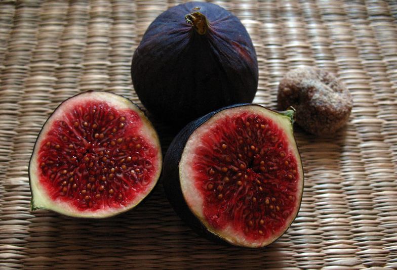 Fig