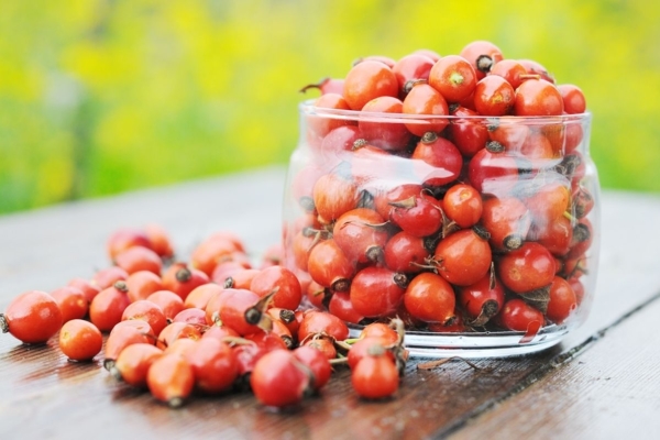  Rose hips - both fresh and dried - contain large amounts of vitamin C