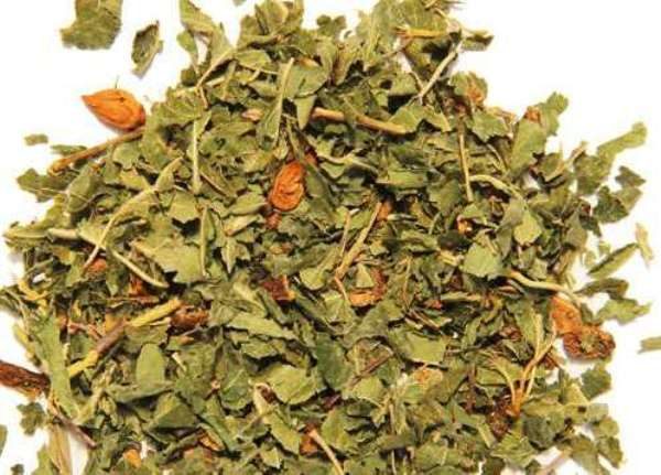  For the treatment of diabetes and hypertension, traditional healers advise using a decoction of leaves and young quince branches.