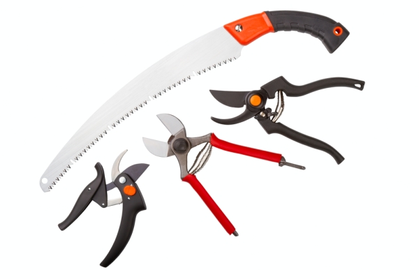  Το κλαδευτήρι, το εργαλείο κοπής, το μαχαίρι κήπου και ο χλοοτάπητας πρέπει να ακονιστούν και να απολυμανθούν.