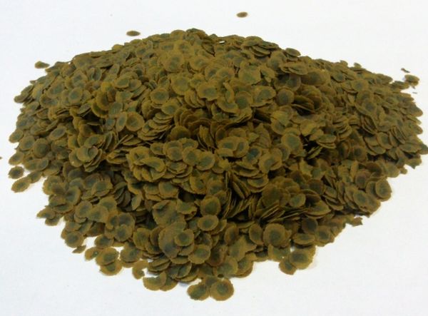  Păstarul uscat poate fi folosit ca o pansament verde.