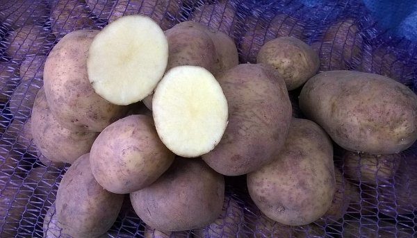  Винета картофи