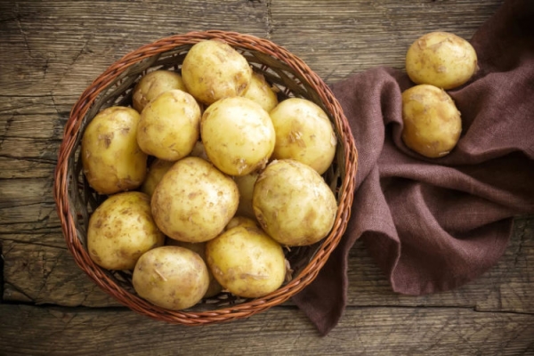  Varietà di patate Santa: descrizione e caratteristiche, impianto, cura e conservazione